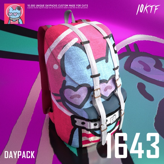 Cool Daypack #1643