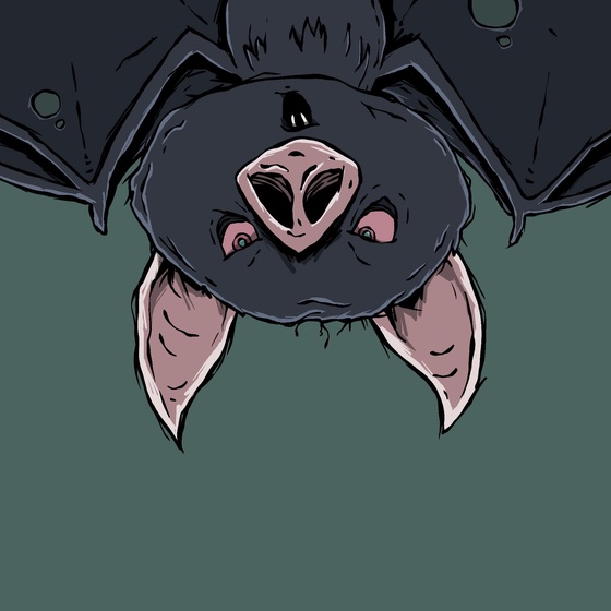 Moon Bats #8618