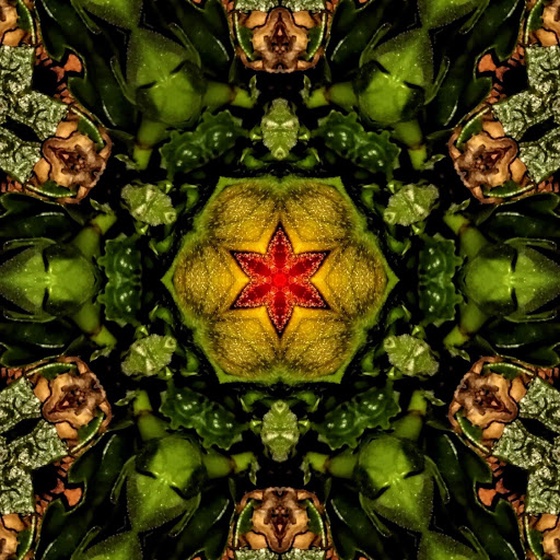 Kaleidoscope