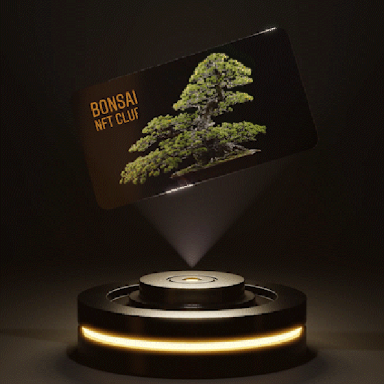 BONSAI NFT CLUB #0020