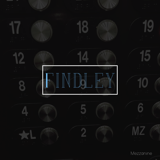 The Album Covers Series2 ~ FINDLEY