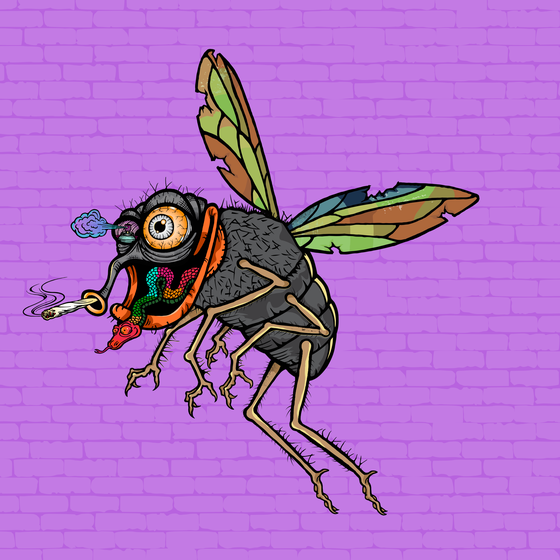 Funky Fly #2267