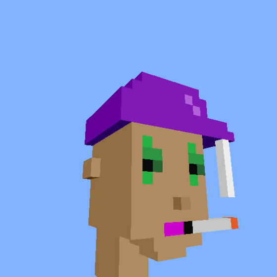 PunkVoxels #2137
