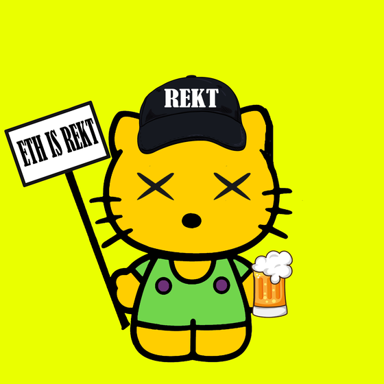 Hello Rekt Kitty - 14