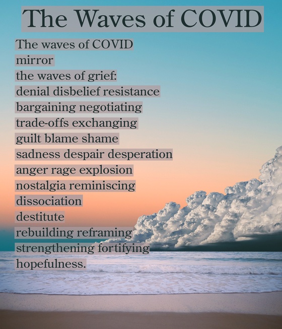 The Waves of COVID