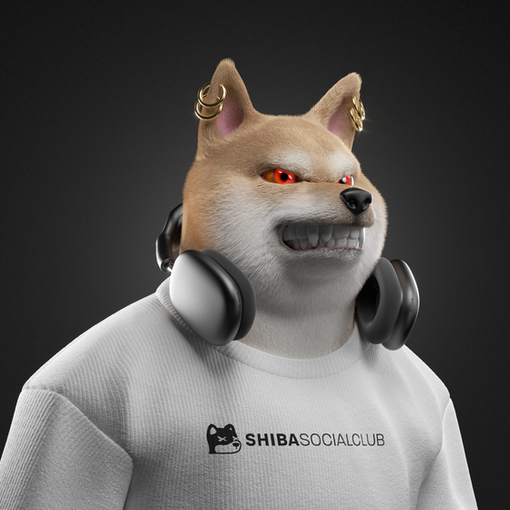 Shiba #2171