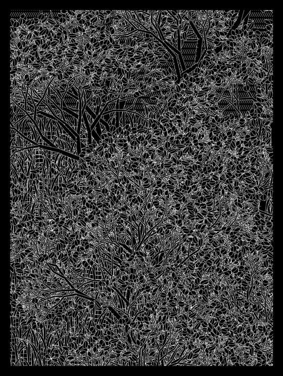 Entangled #180