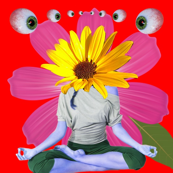 Guru #833