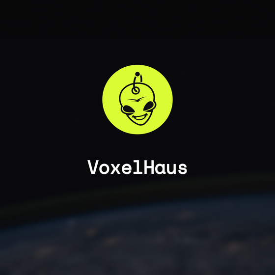 VoxelHaus