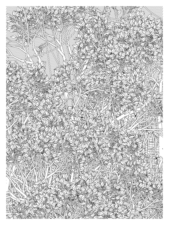 Entangled #136