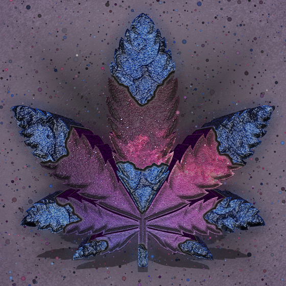 SUPREME Cannabis #30