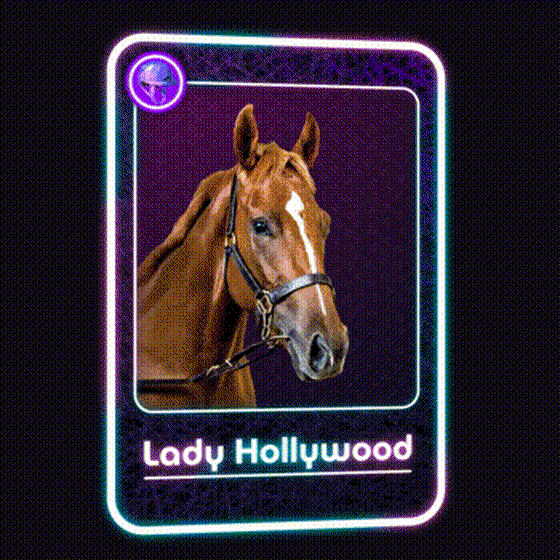 Lady Hollywood Jockey Club #1