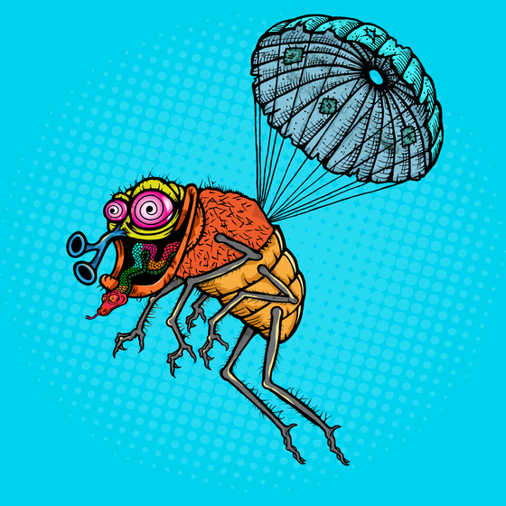 Funky Fly #1302