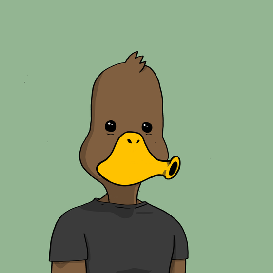 Duck #4716