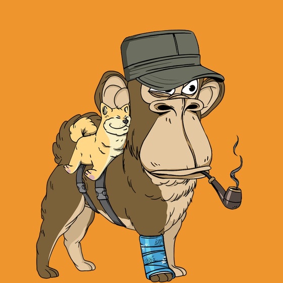 Kennel Ape #114