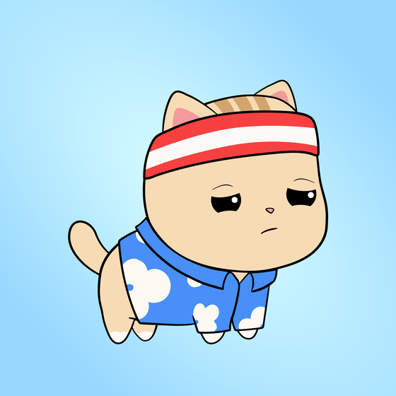 Chubbicat #7934