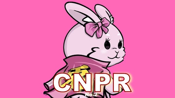 【Dear Beginners】CNPR No.2