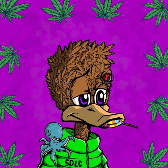 StonedDuck #2251