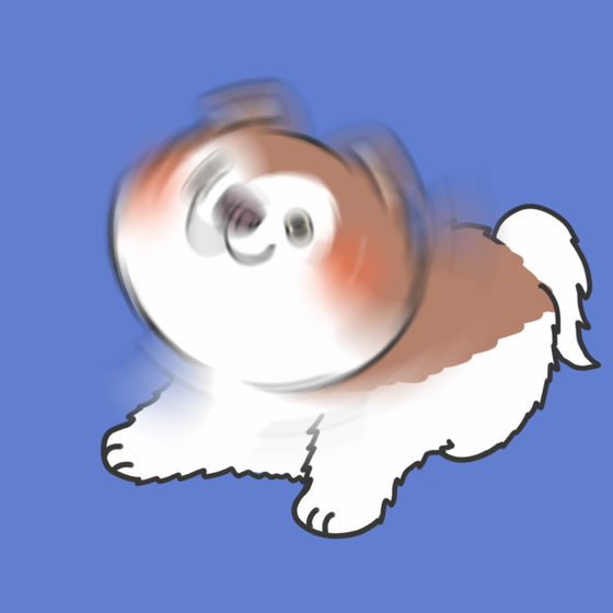 DogDrill#155