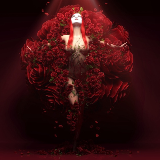 Rose Overdose