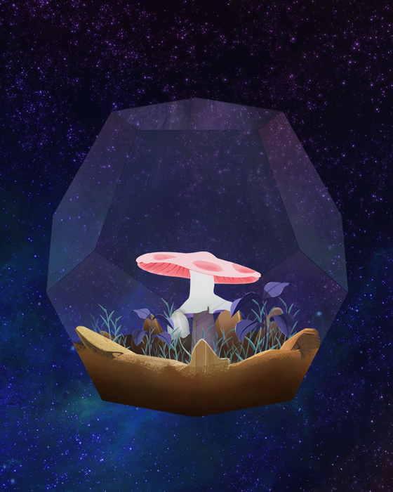 Mushroom #2763