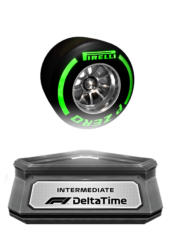 Intermediate Tyres