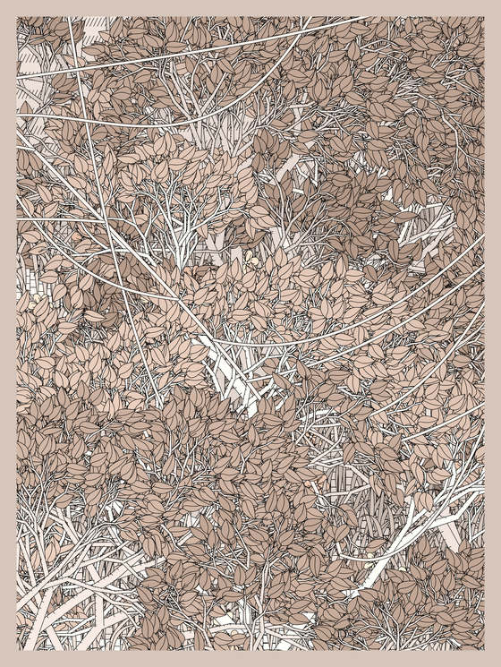 Entangled #351