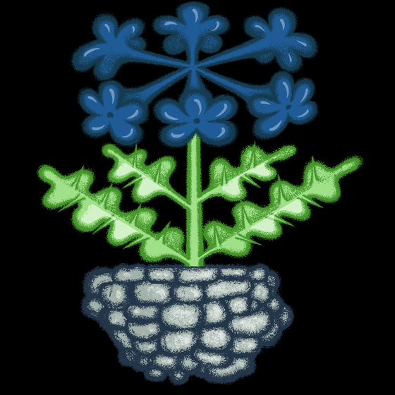 #77
