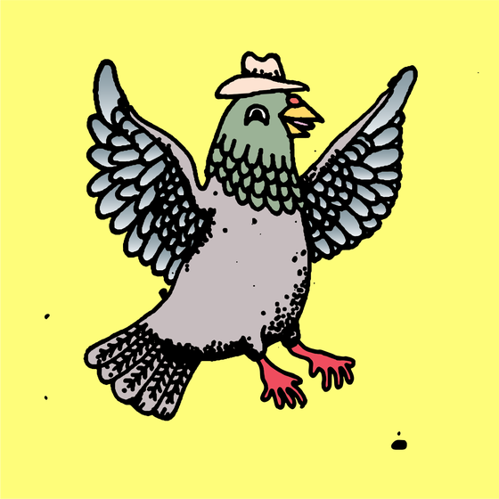 Hood Pigeon #82