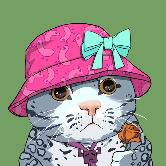 Puzzled cat #7976