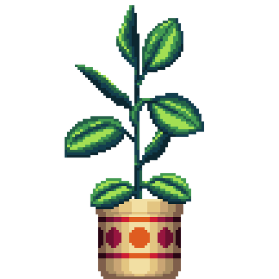 Rubber Plant in Large Pattern pot