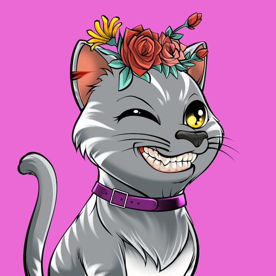 Cat #1584