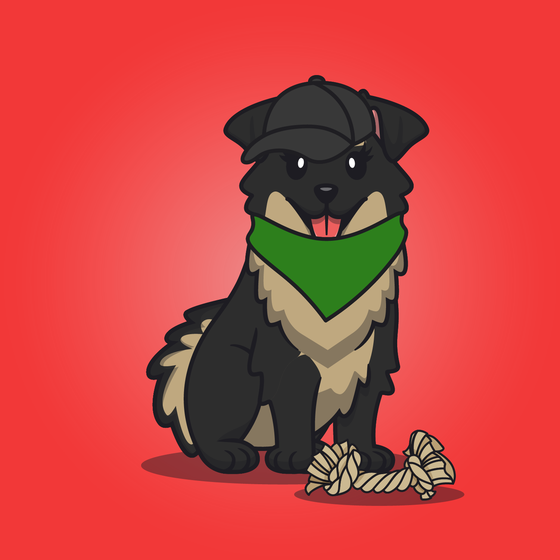 Fetch #34