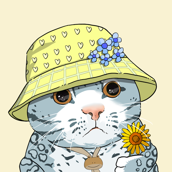 Puzzled cat #9693