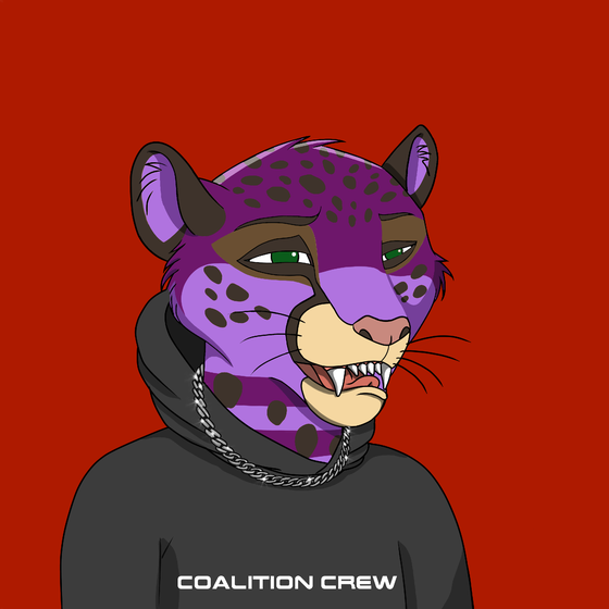 Coalition Crew 2.0 #2297