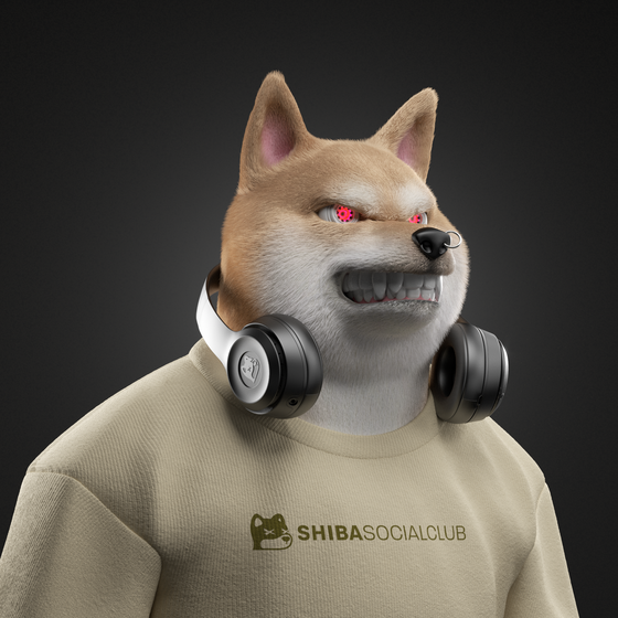 Shiba #1411