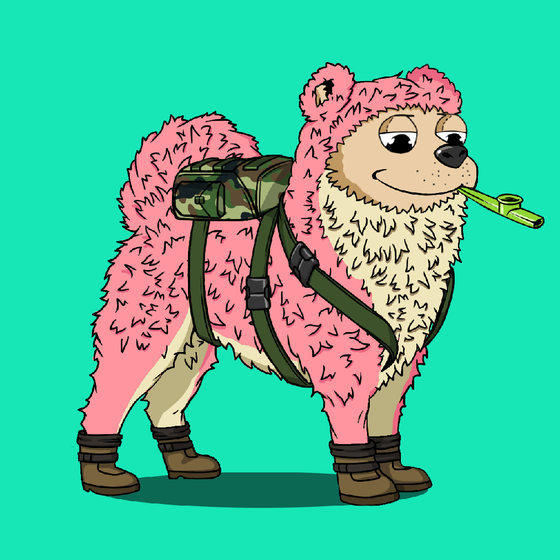 y00ts Canine Club #46