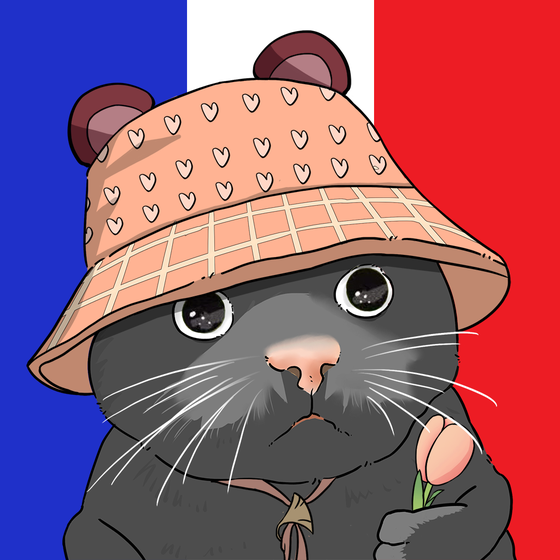 Puzzled cat #1630