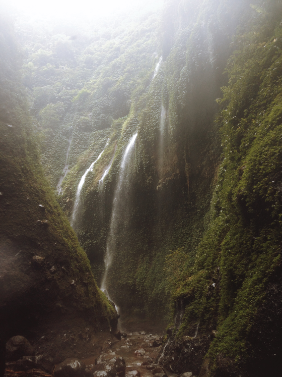 Waterfall: Jurassic Madakaripura