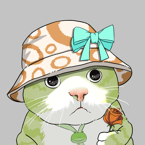 Puzzled cat #8533