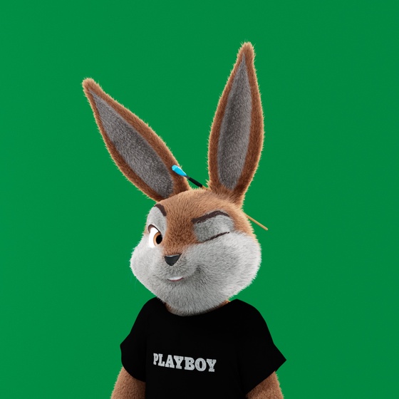 Rabbitar #7907