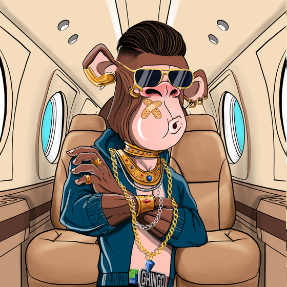 Gringo Gary #1464