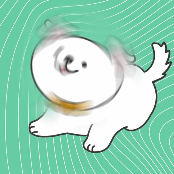 DogDrill#399
