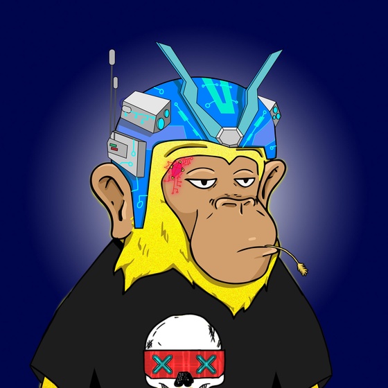 Seoul Ape #1510