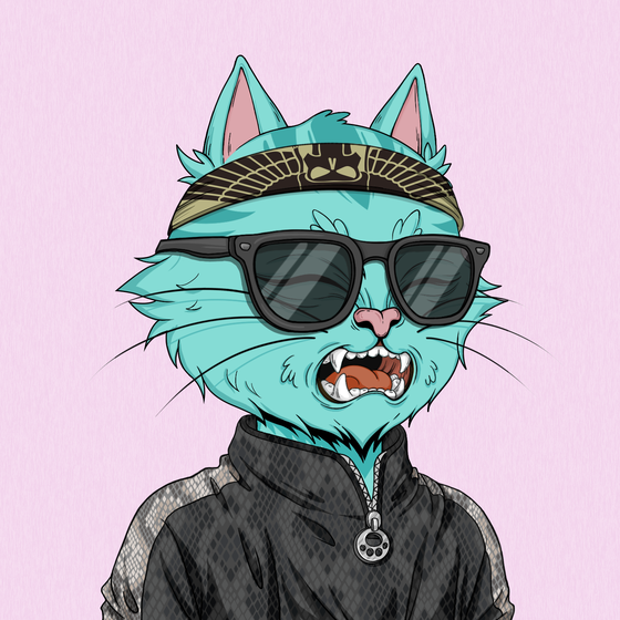 Angry Cat #1735
