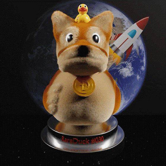 RareDuck #030 - Doge Duck