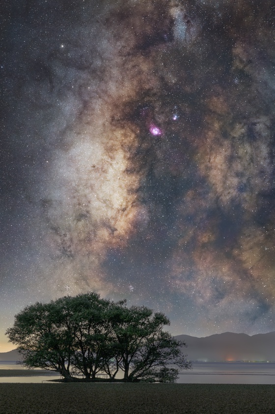 The galaxy and a impressive tree