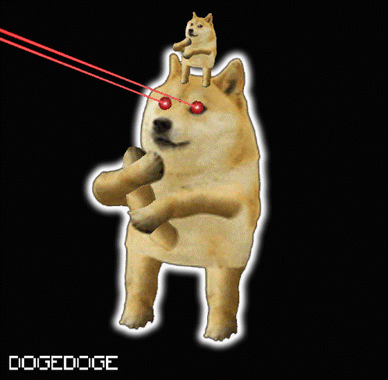 DOGEDOGE #5