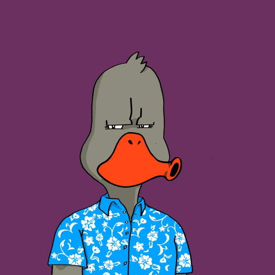 Duck #3695