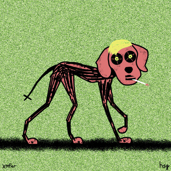 dog #1938